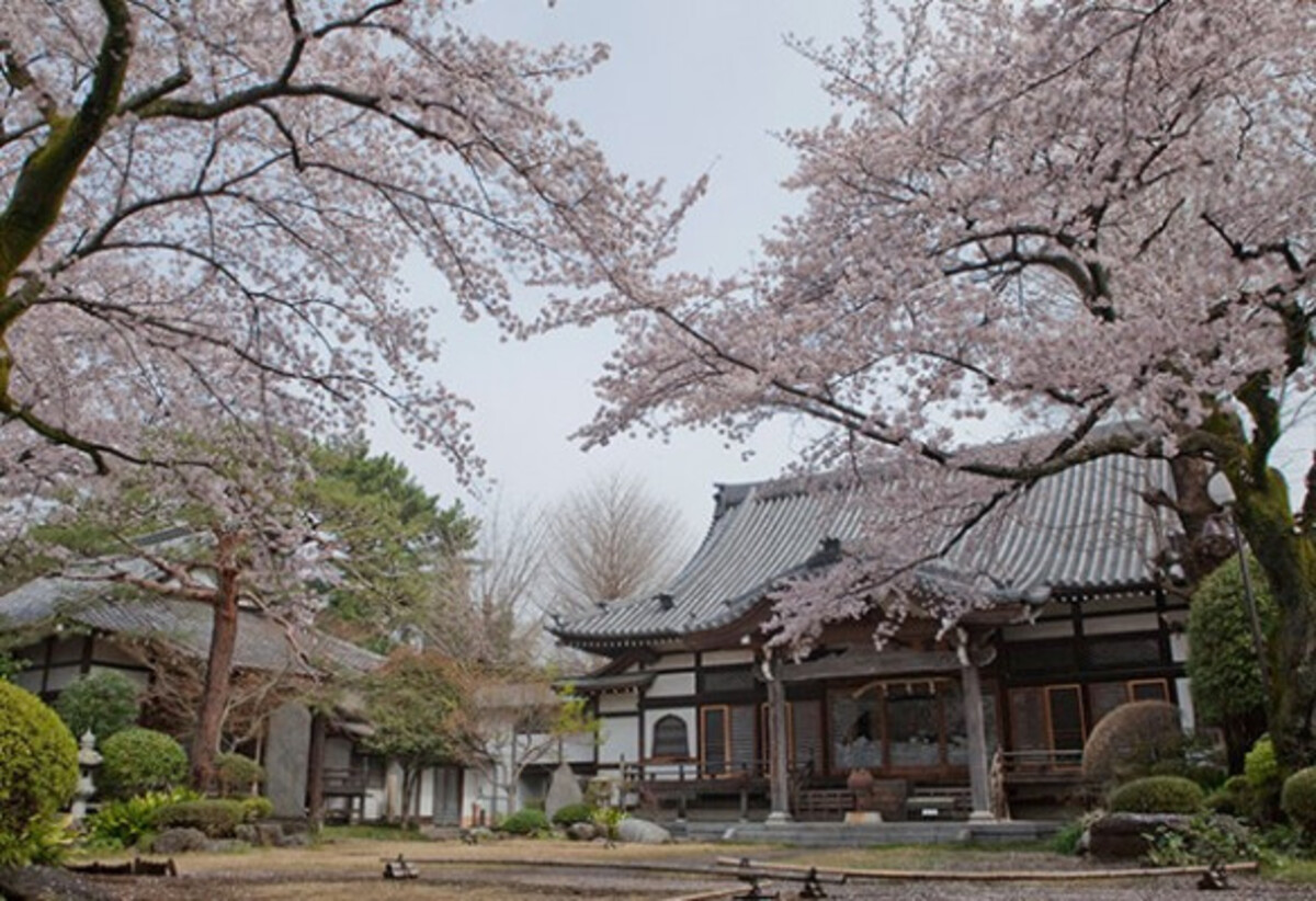 蓮華寺