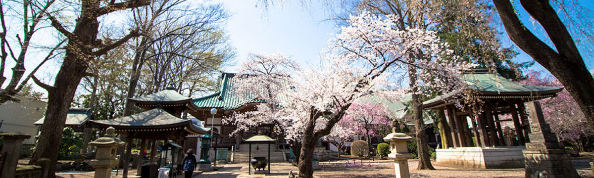 妙福寺 本應院