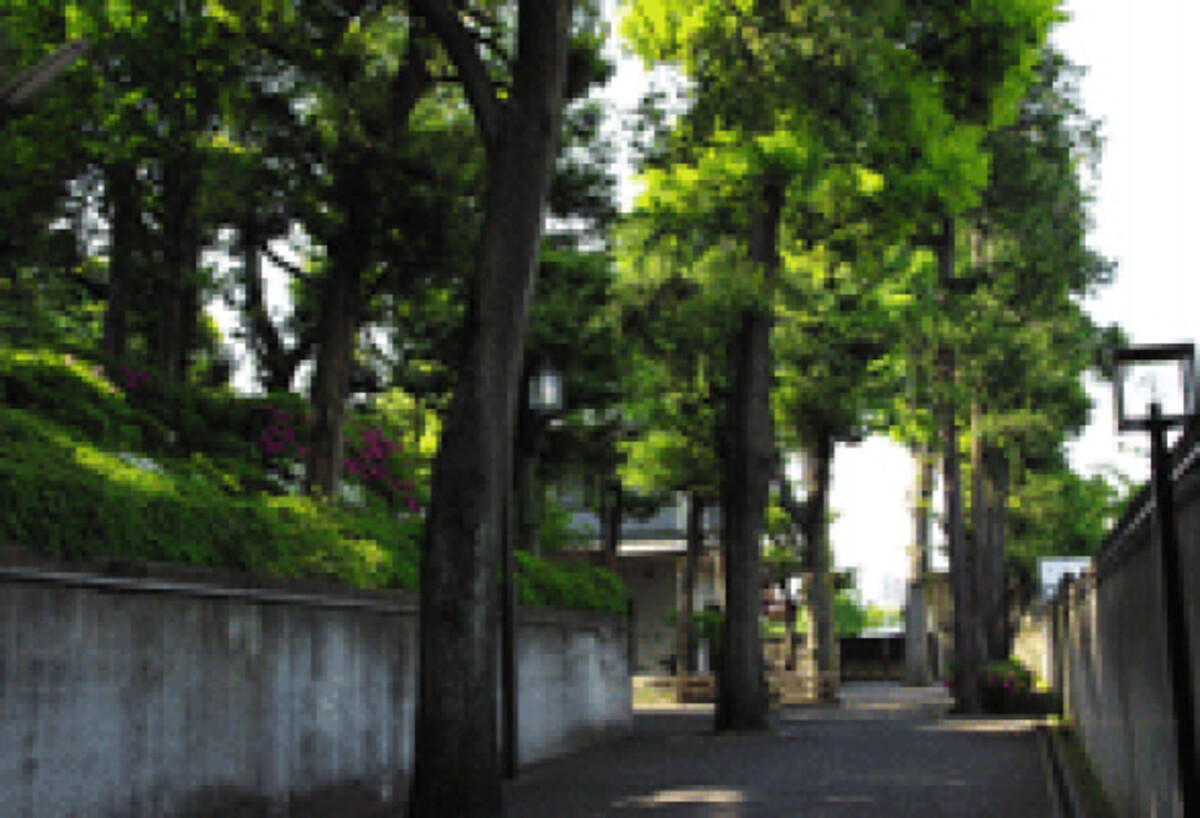 妙法寺堀之内静堂