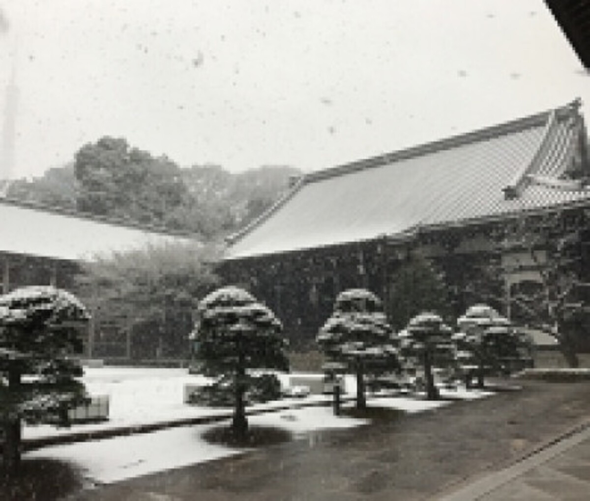 青松寺