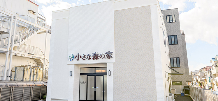 小さな森の家 江戸川大杉